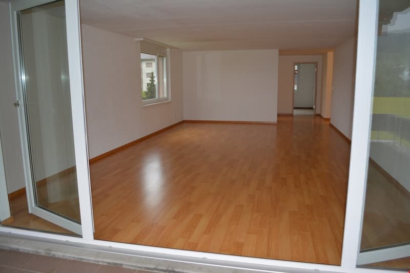 Geräumige 6.5-Zimmer-Wohnung mit herrlichem Ausblick in Reinach AG (9)