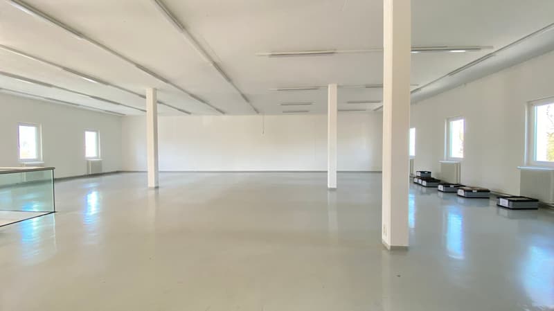 Empty room with white walls, white floor, windows, pillars, ceiling lights