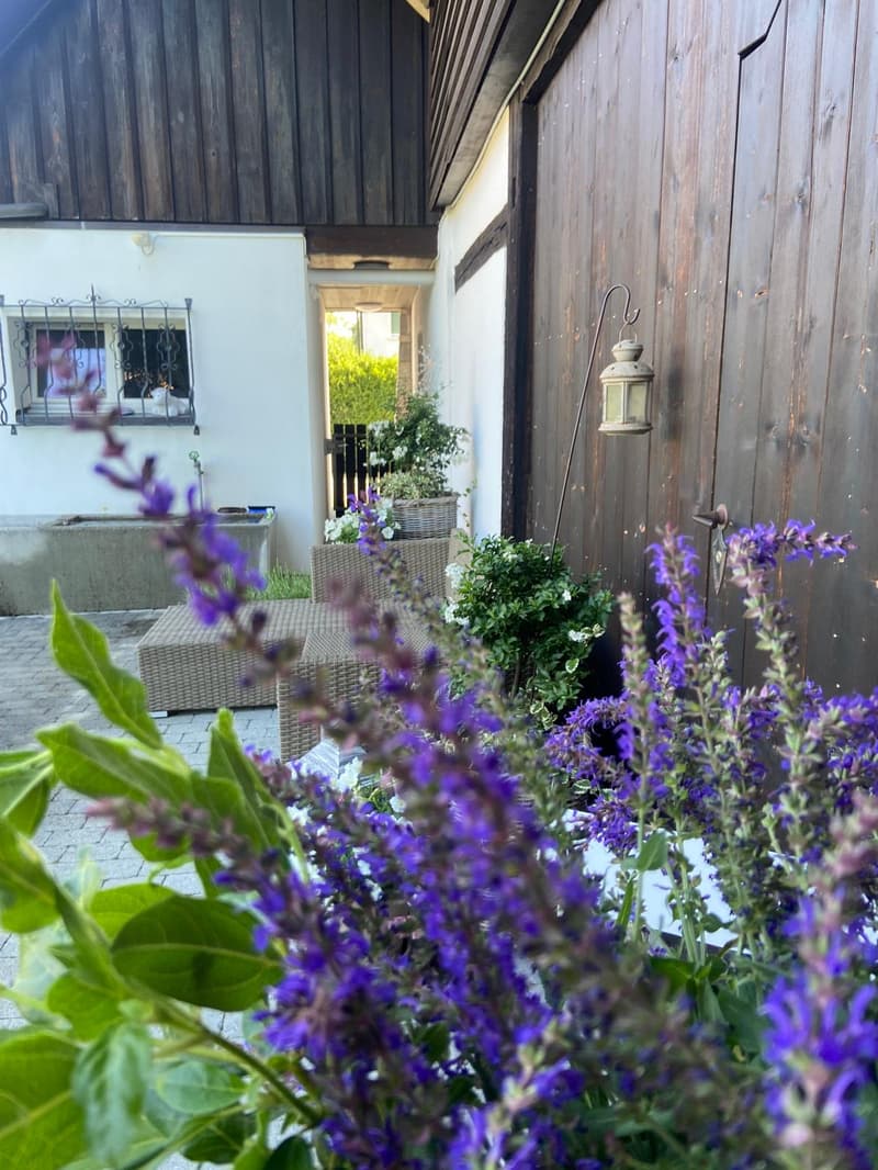 Charmante 2.5-Zimmer-Altbauwohnung mit Terrasse in Subingen (14)