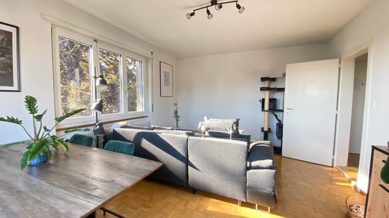 Praktische 3-Zimmer-Wohnung im Herzen von Herzogenbuchsee (8)