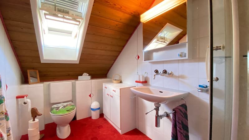8-Zimmer-Einfamilienhaus mit Pool - ideal für Patchwork-Familien oder Mehrgenerationenhaus! (16)