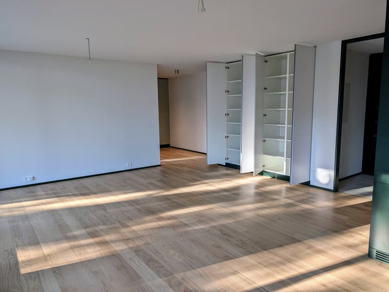 Wohnzimmer mit Einbauschränken