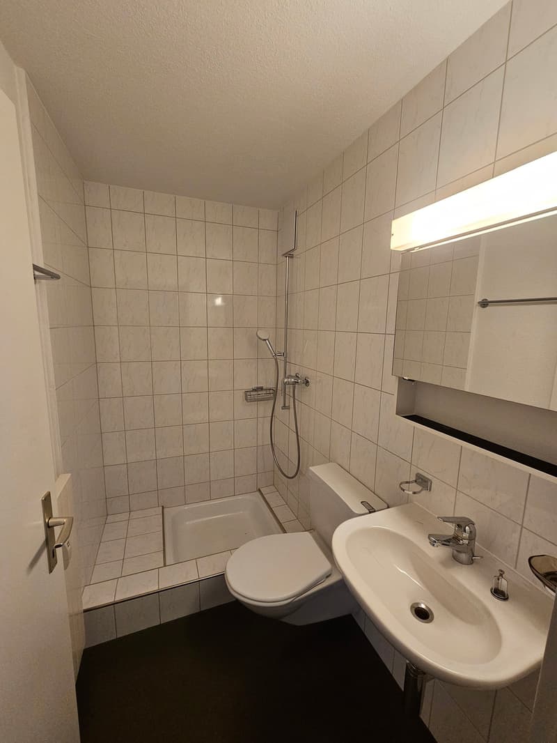 Nasszelle mit Dusche und WC