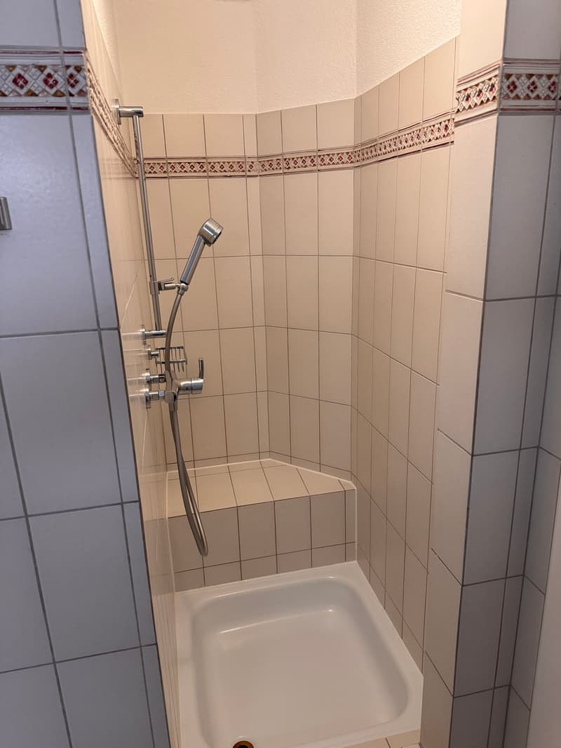 grosse 4,5-Zimmer-Zentrumswohnung nähe Altstadt (13)