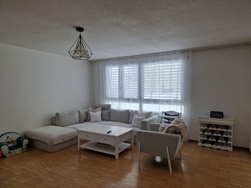 grosse 3 1/2-Zimmer-Wohnung (7)