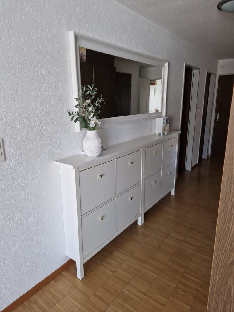 grosse 3 1/2-Zimmer-Wohnung (8)