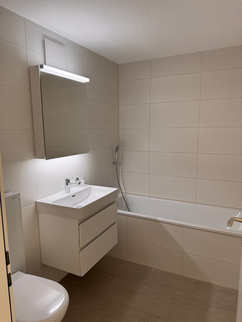 grosse 3 1/2-Zimmer-Wohnung (4)