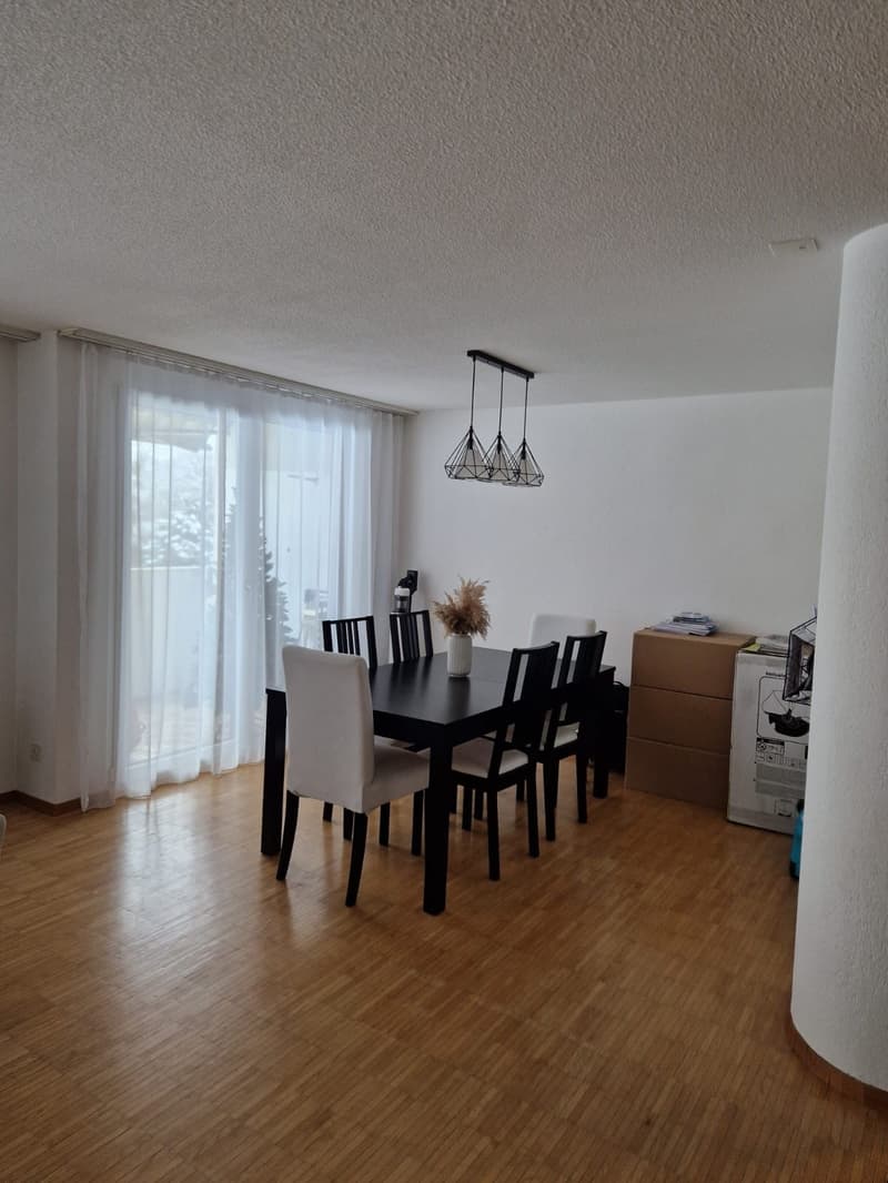 grosse 3 1/2-Zimmer-Wohnung (6)