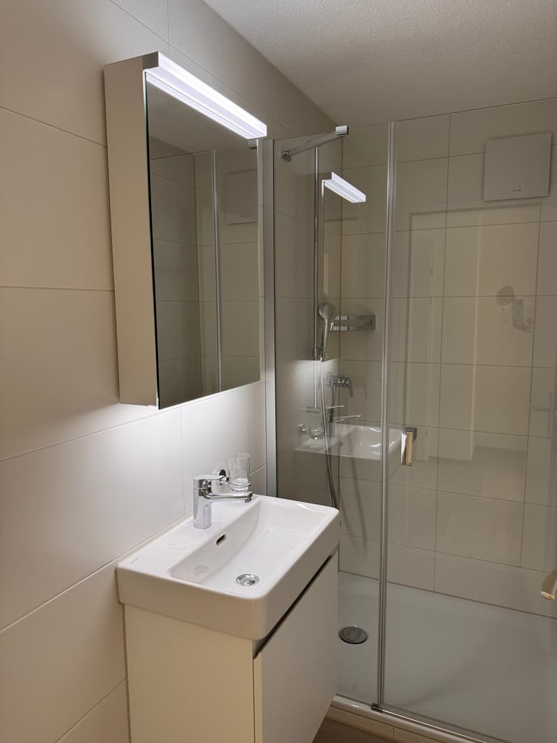 grosse 3 1/2-Zimmer-Wohnung (5)