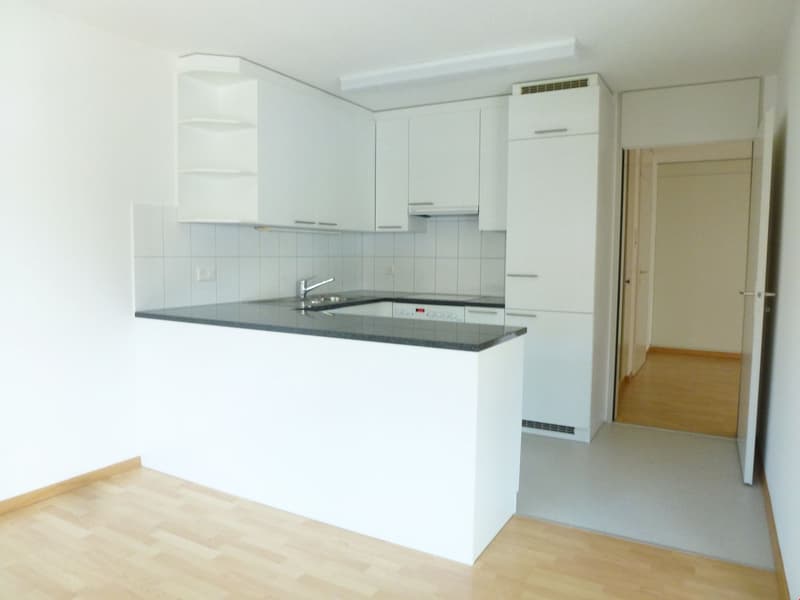 grosszügige 3 1/2-Zimmer-Wohnung (3)