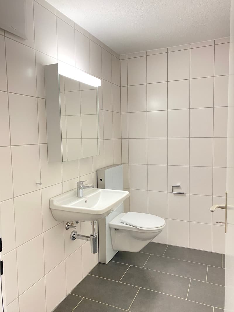 grosszügige 3 1/2-Zimmer-Wohnung (9)