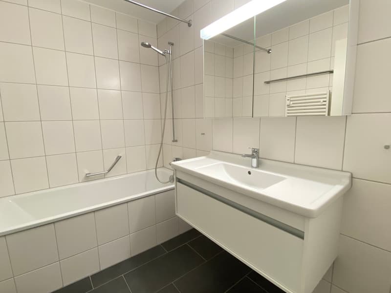grosszügige 3 1/2-Zimmer-Wohnung (8)