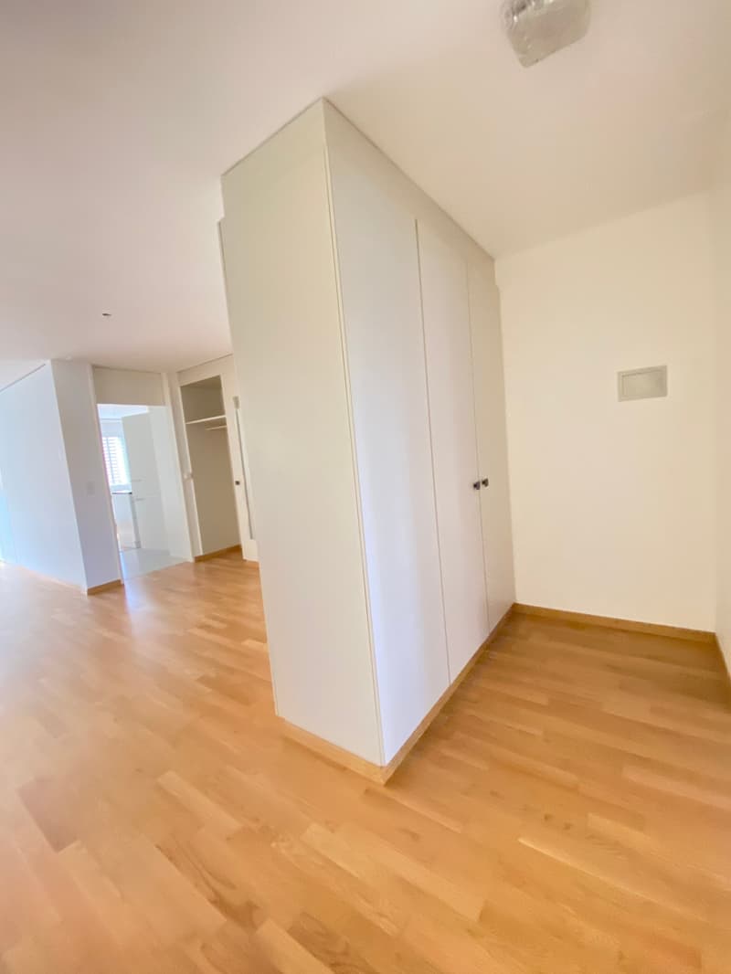 grosszügige 3 1/2-Zimmer-Wohnung (6)