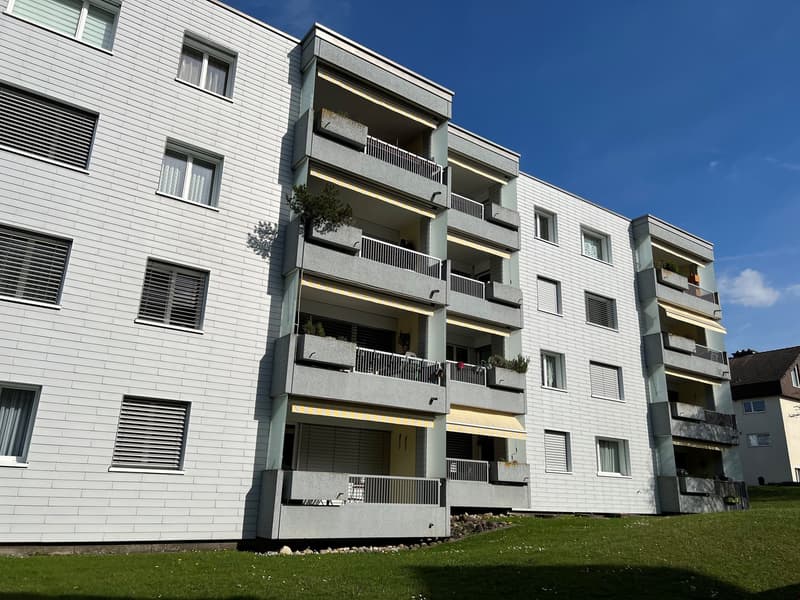 grosszügige 3 1/2-Zimmer-Wohnung (1)