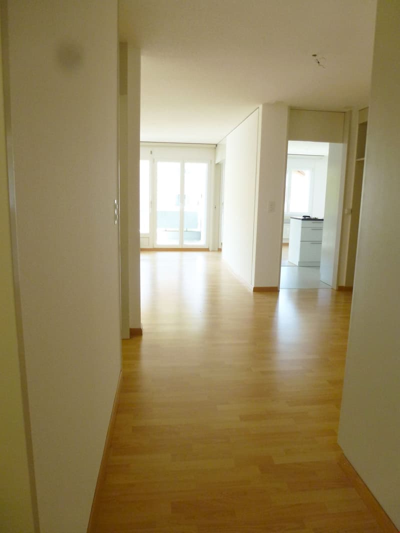 grosszügige 3 1/2-Zimmer-Wohnung (4)