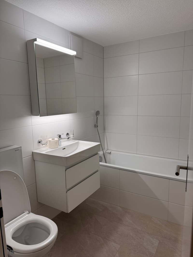 renovierte 3.5 -Zimmerwohnung mit Aussicht (9)