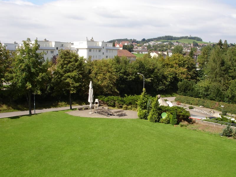 renovierte 3.5 -Zimmerwohnung mit Aussicht (13)