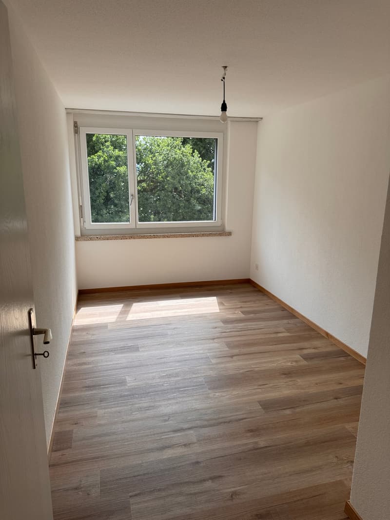 renovierte 3.5 -Zimmerwohnung mit Aussicht (7)