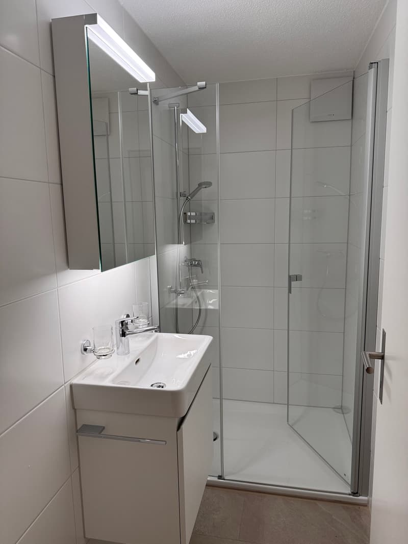 renovierte 3.5 -Zimmerwohnung mit Aussicht (10)