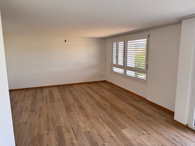 renovierte 3.5 -Zimmerwohnung mit Aussicht (5)