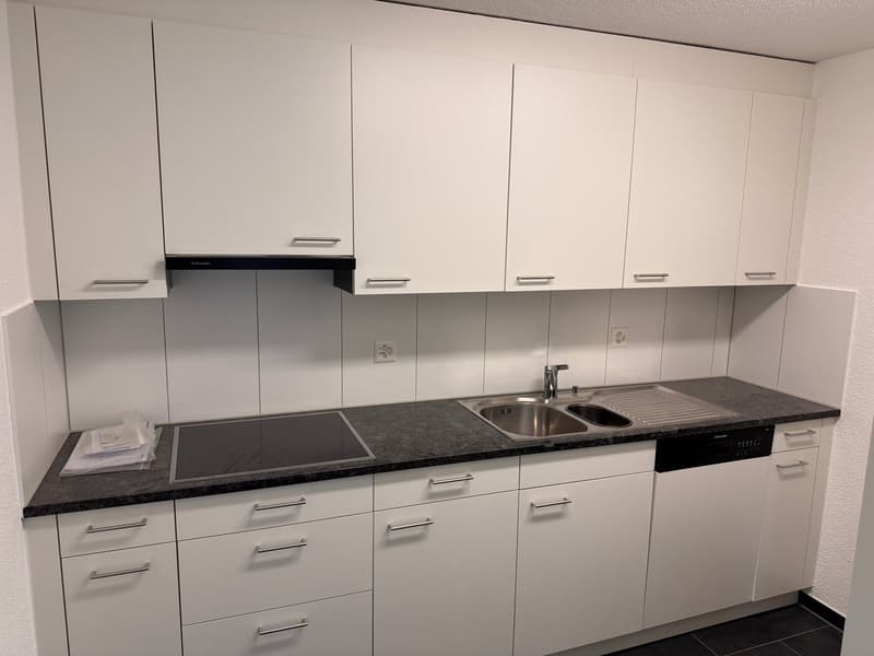 renovierte 3.5 -Zimmerwohnung mit Aussicht (2)