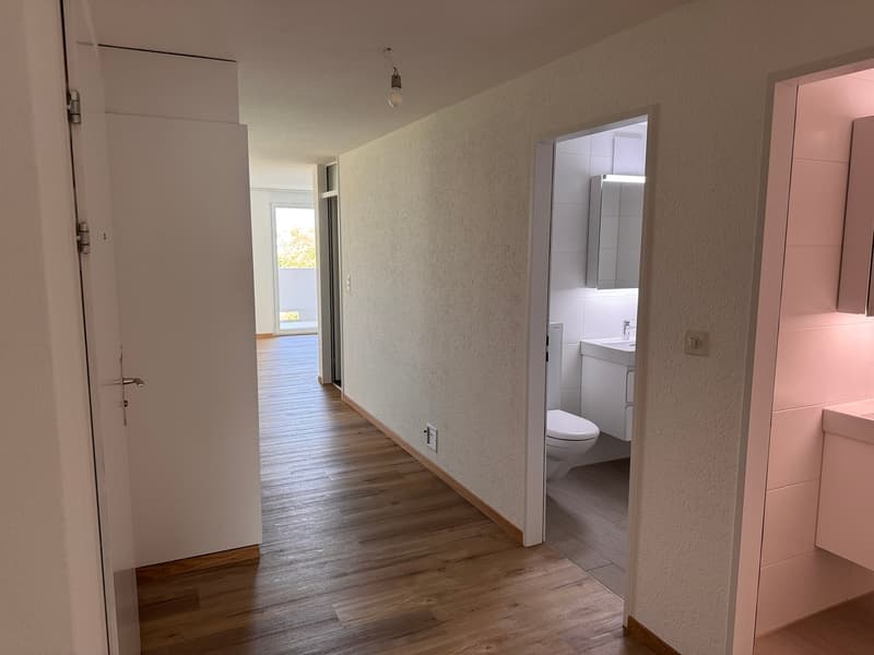 renovierte 3.5 -Zimmerwohnung mit Aussicht (6)
