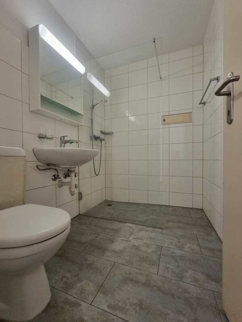 3.5-Zimmerwohnung im Hochparterre mitten in Biel zu vermieten (5)