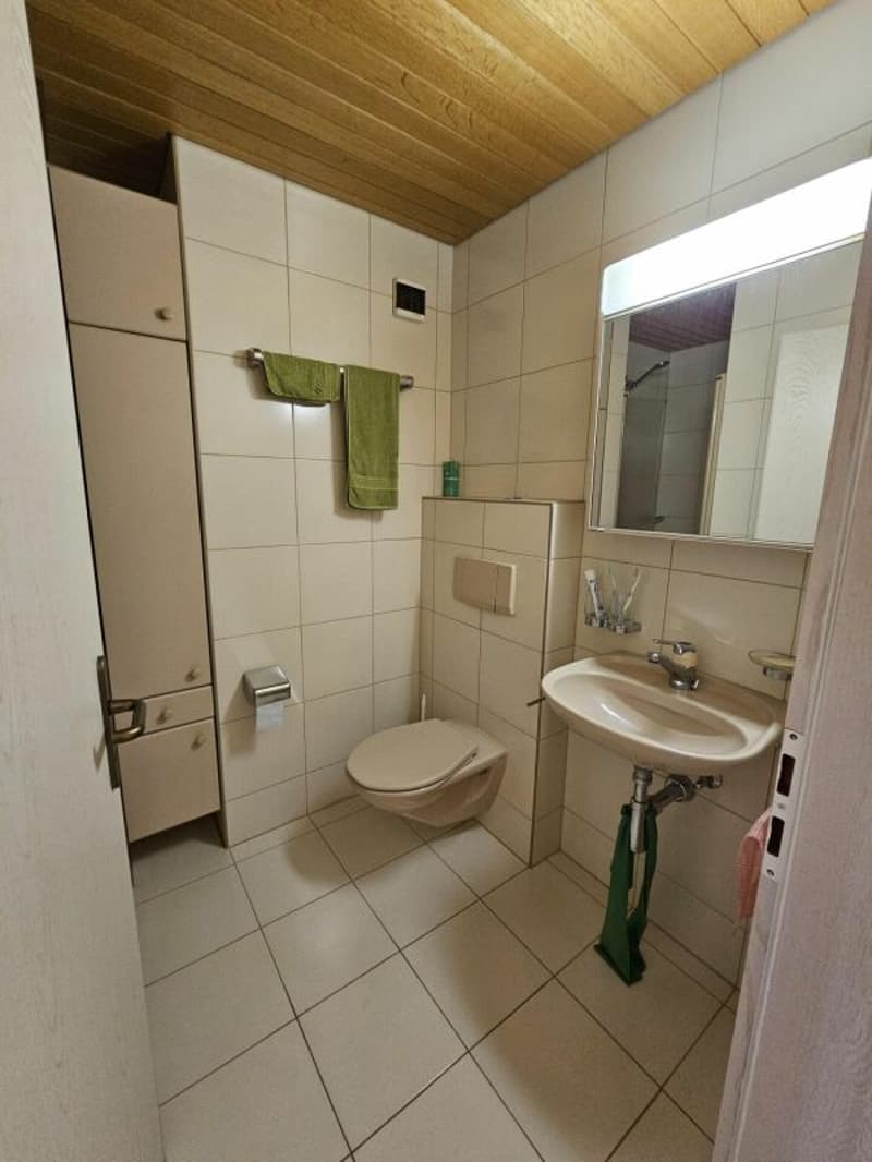 Ruhig gelegene 4.5-Zimmerwohnung in Port zu vermieten (8)