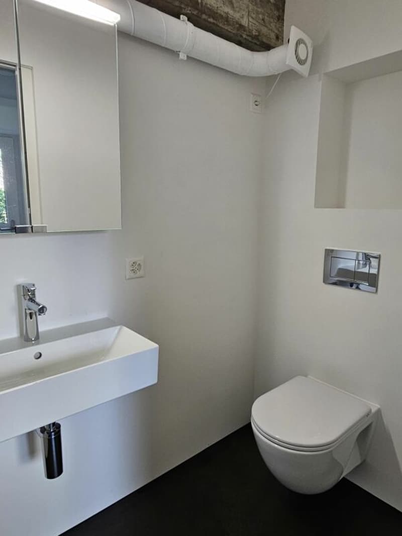 Modernes Wohnen in Aegerten - neuwertiges Studio mit Parkplatz und Gartensitzplatz (7)