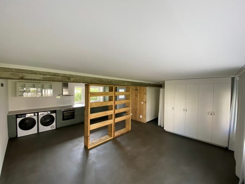 Modernes Wohnen in Aegerten - neuwertiges Studio mit Parkplatz und Gartensitzplatz (4)