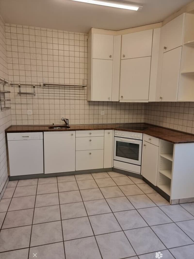 Grosszügige 4.5-Zimmer-Erdgeschosswohnung mit Aussensitzplatz (2)