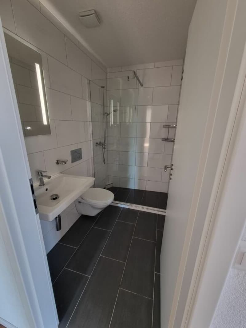 Neuwertige 5.5-Zimmerwohnung mit Balkon in Meinisberg zu vermieten (4)