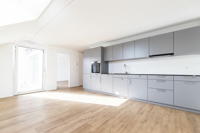Moderne 2.5-Zimmer-Dachwohnung zu vermieten (2)