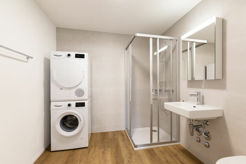 Moderne 2.5-Zimmer-Dachwohnung zu vermieten (3)