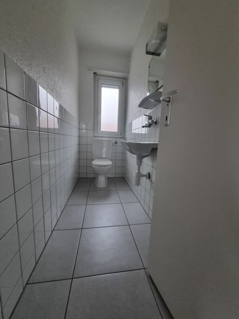 Helle 4.5-Zimmerwohnung an ruhiger Lage (4)