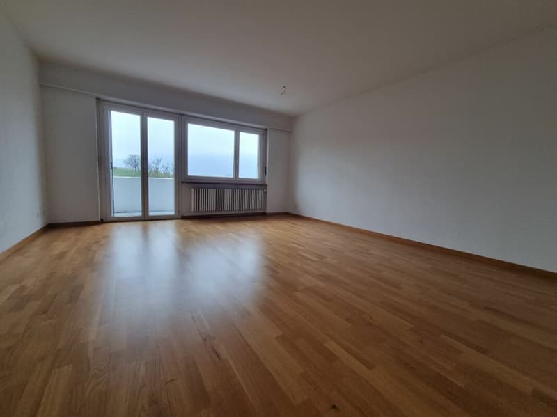 Helle 4.5-Zimmerwohnung an ruhiger Lage (5)