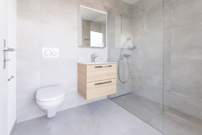 Moderne 2.5-Zimmer-Erdgeschosswohnung In Orpund zu vermieten (3)