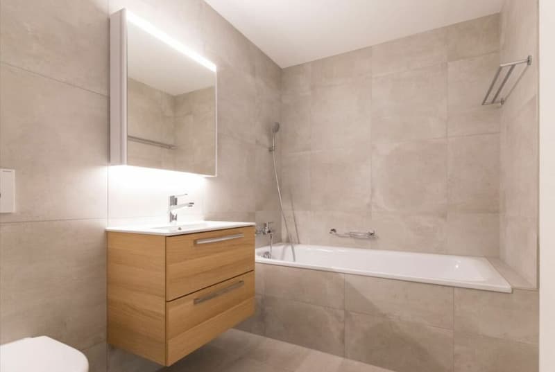 Moderne 4.5-Zimmer-Wohnung in Orpund zu vermieten (6)