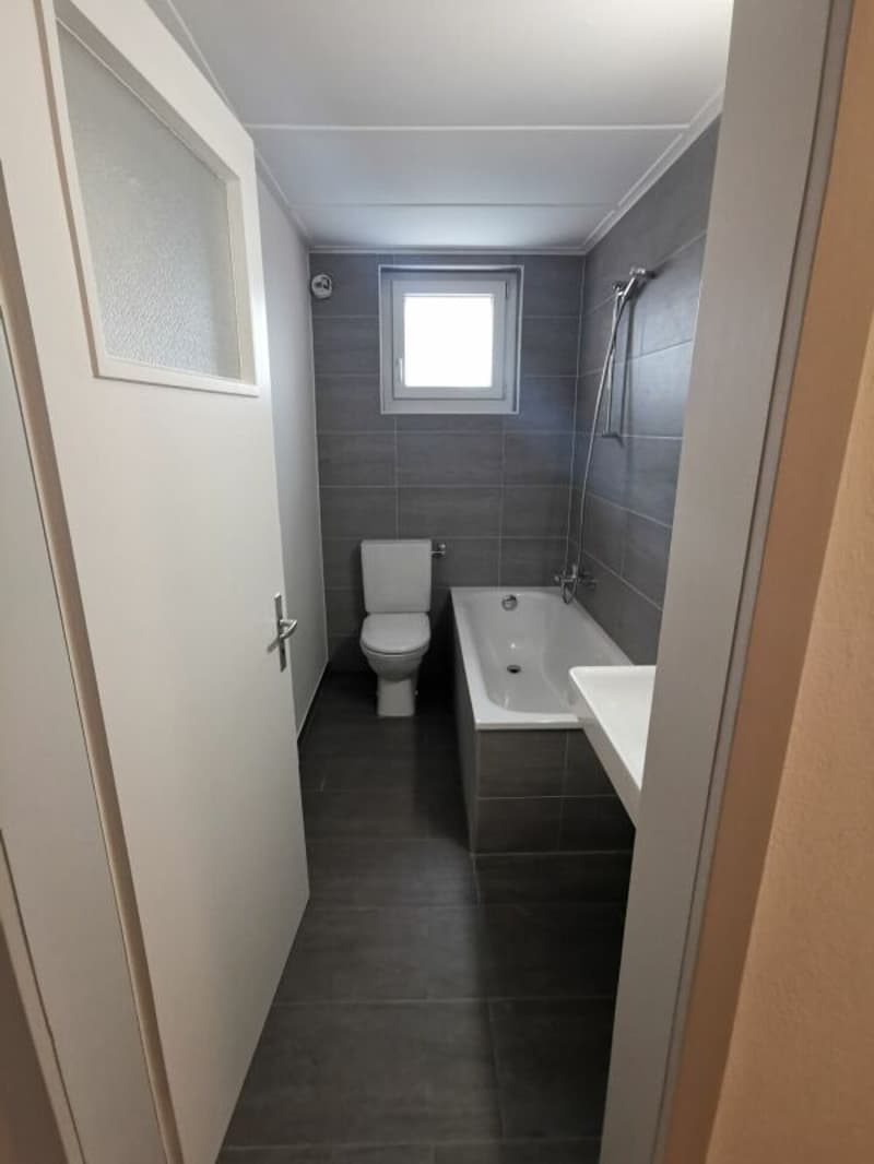 2.5-Zimmer-Dachwohnung zu vermieten (3)