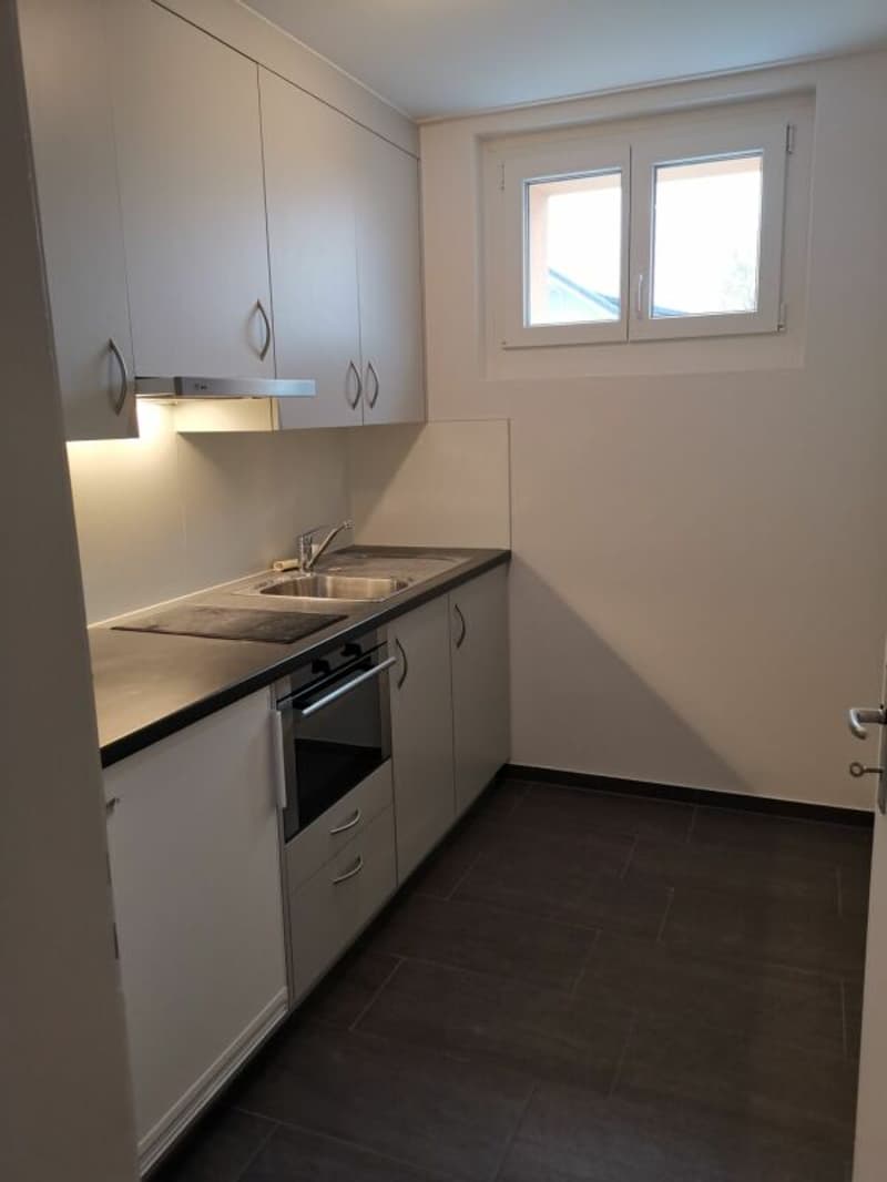 2.5-Zimmer-Dachwohnung zu vermieten (2)