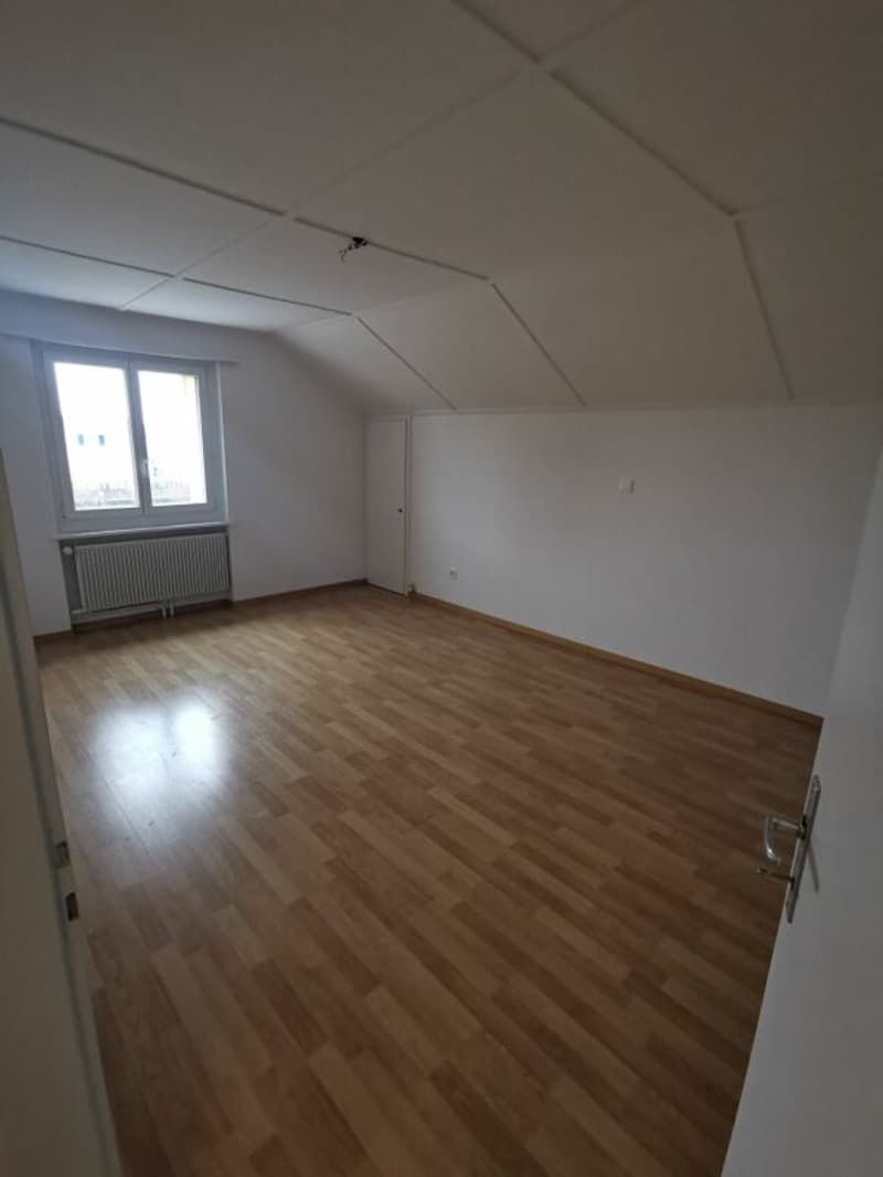 2.5-Zimmer-Dachwohnung zu vermieten (4)