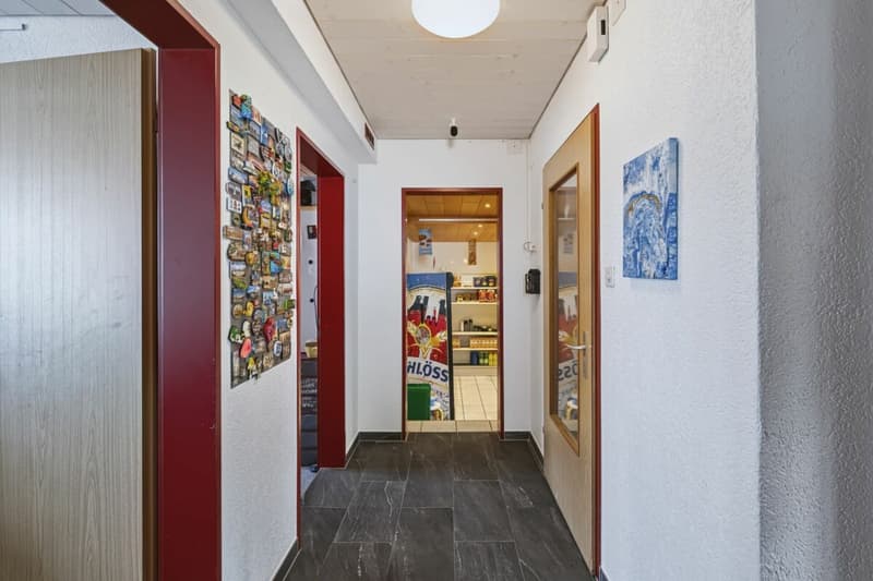 Attraktives Wohn- und Geschäftshaus im Möösliquartier (8)