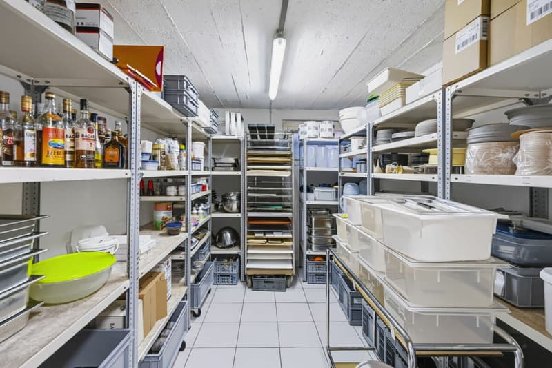 Attraktives Wohn- und Geschäftshaus im Möösliquartier (21)