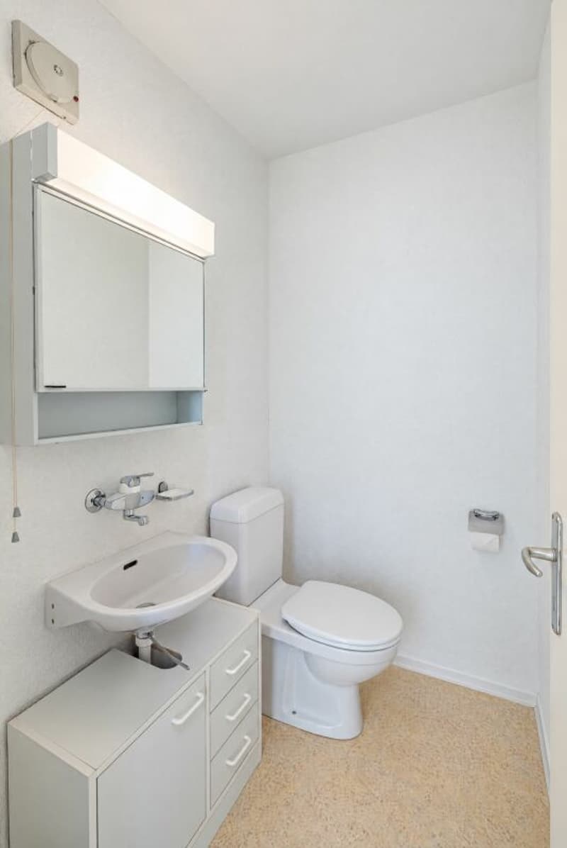 3.5 Zimmer Attika-Terrassenwohnung mit See- und Alpensicht (10)