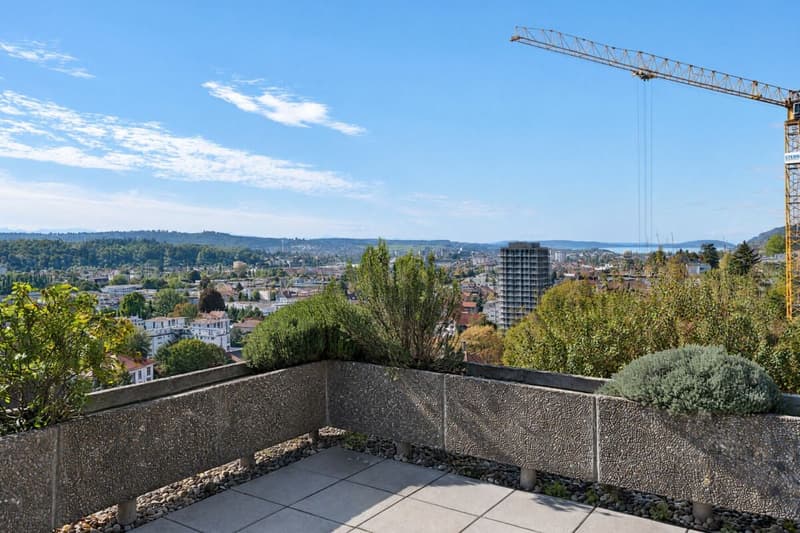 3.5 Zimmer Attika-Terrassenwohnung mit See- und Alpensicht (11)
