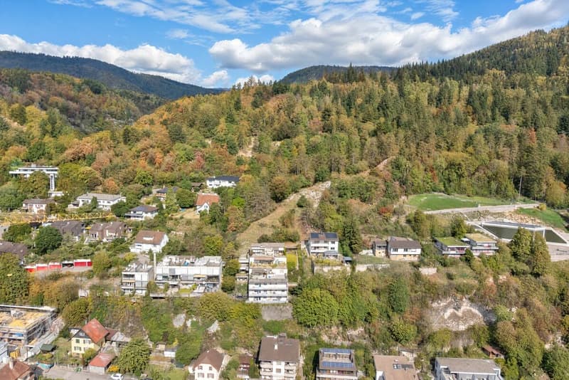 3.5 Zimmer Attika-Terrassenwohnung mit See- und Alpensicht (15)