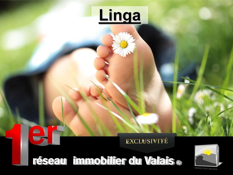 3960 Sierre