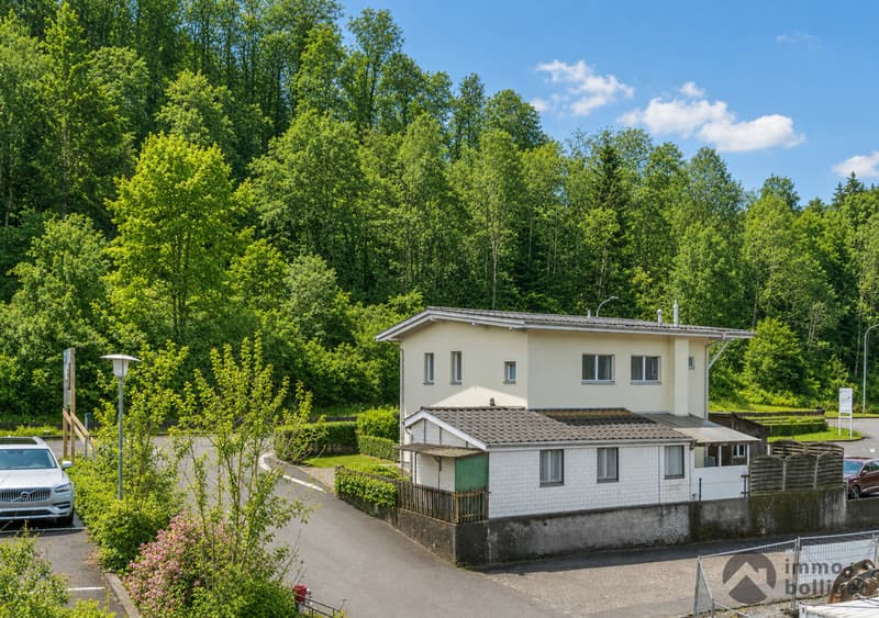 Historie trifft Moderne: Stilvolles EFH mit viel Potential in Zofingen (13)