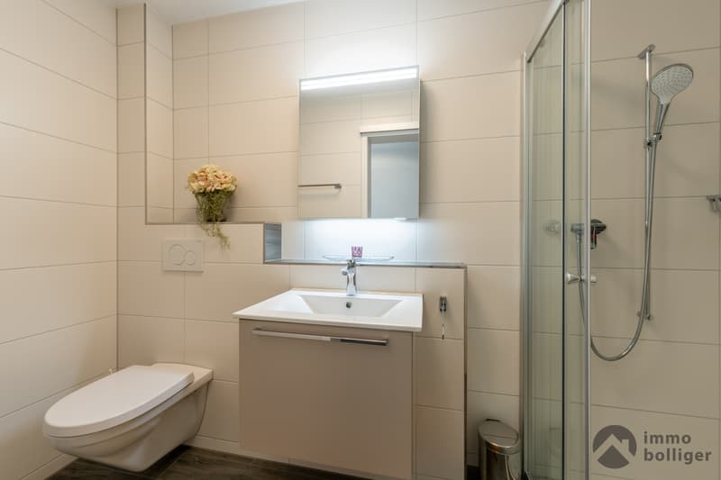 Appartamento in proprietà luminoso con vista e comfort vicino alla stazione di Zofingen (7)