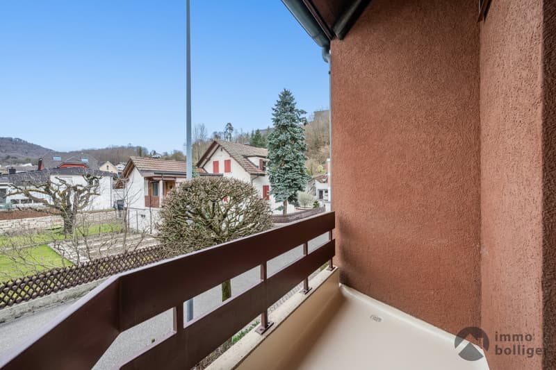 Votre maison - avec vue sur la forteresse d'Aarburg (8)